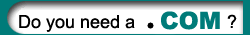 Register your Domain